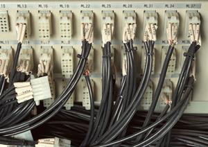 次世代シーケンスで遺伝子情報を知る。